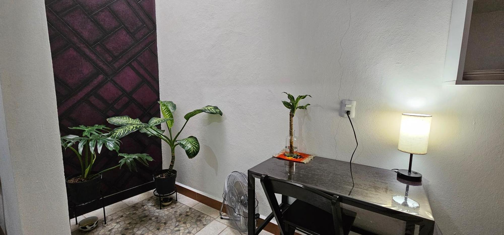 Apartamento Depa Purpura Caracol San Antonio de la Cal Exterior foto